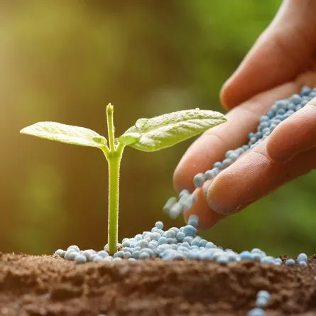 Fertilizantes